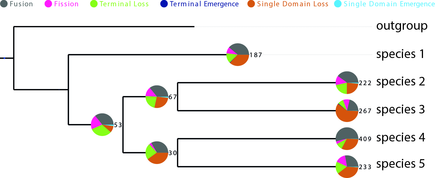 DomRates Results Visualization